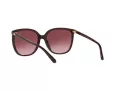 Michael Kors Anaheim Lunettes de Soleil MK 2137U 3344/8H