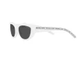 Michael Kors Rio Lunettes de Soleil MK 2160 3100/87