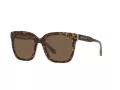 Michael Kors San Marino Lunettes de Soleil MK 2163 3917/73