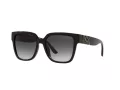 Michael Kors Karlie Lunettes de Soleil MK 2170U 3005/8G