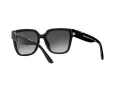 Michael Kors Karlie Lunettes de Soleil MK 2170U 3005/8G