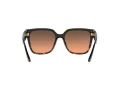Michael Kors Karlie Lunettes de Soleil 2170U 390818