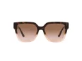 Michael Kors Karlie Lunettes de Soleil MK 2170U 3909/13
