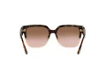Michael Kors Karlie Lunettes de Soleil MK 2170U 3909/13