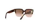Michael Kors Karlie Lunettes de Soleil MK 2170U 3909/13