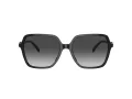 Michael Kors Jasper Lunettes de Soleil MK 2196U 30058G
