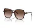 Michael Kors Jasper Lunettes de Soleil MK 2196U 300613