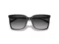 Michael Kors Canberra Lunettes de Soleil MK 0MK2197U 30058G