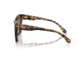 Michael Kors Dubai Lunettes de Soleil MK 2211U 300673