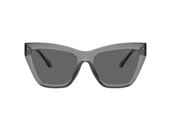 Michael Kors Dubai Lunettes de Soleil MK 2211U 397087