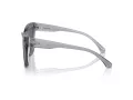 Michael Kors Dubai Lunettes de Soleil MK 2211U 397087