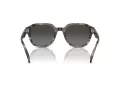 Michael Kors Eger Lunettes de Soleil MK 2216U 396688