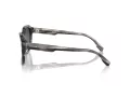 Michael Kors Eger Lunettes de Soleil MK 2216U 396688
