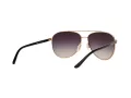 Michael Kors Hvar Lunettes de Soleil MK 5007 1099/36