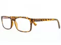 Lunettes de moniteur motif tortue BLF73A