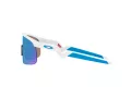 Oakley Resistor Lunettes de Soleil OJ 9010 07