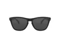 Oakley Frogskins Lunettes de Soleil OO 9013 24-306
