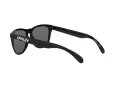 Oakley Frogskins Lunettes de Soleil OO 9013 24-306