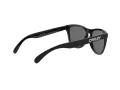 Oakley Frogskins Lunettes de Soleil OO 9013 24-306