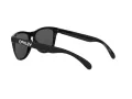 Oakley Frogskins Lunettes de Soleil OO 9013 C4