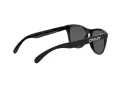 Oakley Frogskins Lunettes de Soleil OO 9013 C4