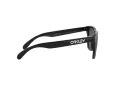 Oakley Frogskins Lunettes de Soleil OO 9013 C4
