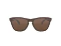 Oakley Frogskins Lunettes de Soleil OO 9013 C5