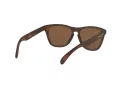 Oakley Frogskins Lunettes de Soleil OO 9013 C5