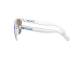 Oakley Frogskins Lunettes de Soleil OO 9013 D0