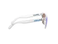 Oakley Frogskins Lunettes de Soleil OO 9013 D0