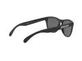 Oakley Frogskins Lunettes de Soleil OO 9013 F7