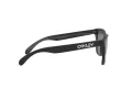 Oakley Frogskins Lunettes de Soleil OO 9013 F7