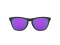 Oakley Frogskins Lunettes de Soleil OO 9013 H6