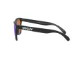 Oakley Frogskins Lunettes de Soleil OO 9013 H6