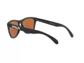 Oakley Frogskins Lunettes de Soleil OO 9013 H6