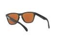 Oakley Frogskins Lunettes de Soleil OO 9013 H6
