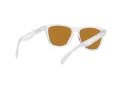 Oakley Frogskins Lunettes de Soleil OO 9013 H7