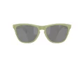 Oakley Frogskins Lunettes de Soleil OO 9013 M2