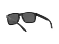 Oakley Holbrook Lunettes de Soleil 9102 D6