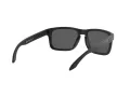 Oakley Holbrook Lunettes de Soleil 9102 D6