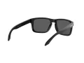 Oakley Holbrook Lunettes de Soleil 9102 E1