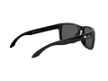 Oakley Holbrook Lunettes de Soleil 9102 E1
