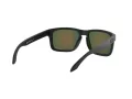 Oakley Holbrook Lunettes de Soleil 9102 E2