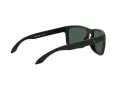 Oakley Holbrook Lunettes de Soleil 9102 E2