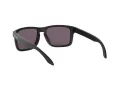 Oakley Holbrook Lunettes de Soleil OO 9102 E8