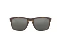 Oakley Holbrook Lunettes de Soleil 9102 F4