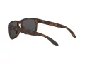 Oakley Holbrook Lunettes de Soleil 9102 F4