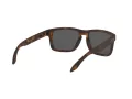 Oakley Holbrook Lunettes de Soleil 9102 F4