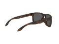 Oakley Holbrook Lunettes de Soleil 9102 F4