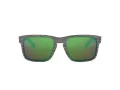Oakley Holbrook Lunettes de Soleil 9102 J8